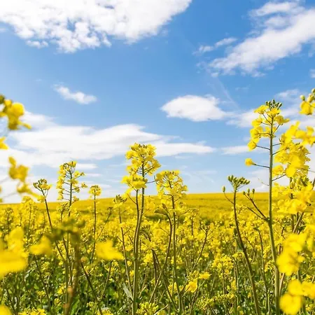 Flensfjord Апартаменты *